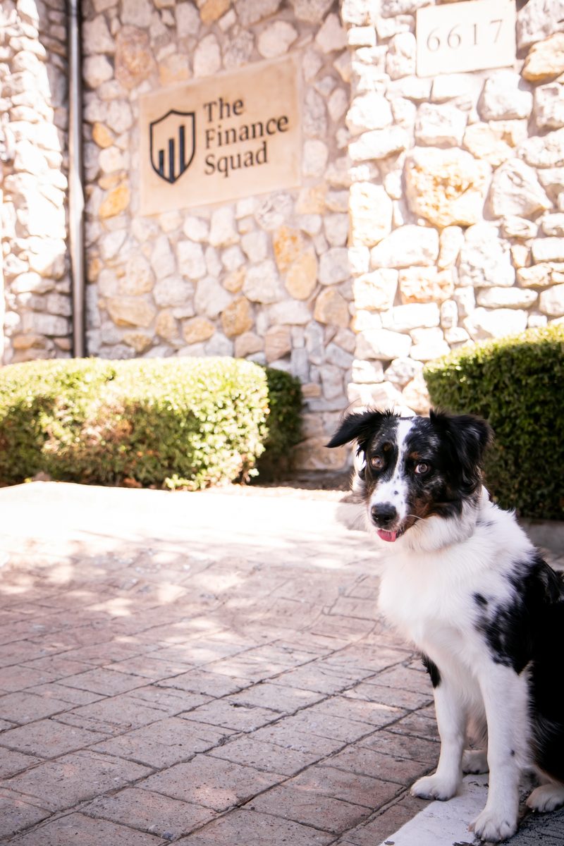 The office dog sitting on the front walk beside The Finance Squad sign